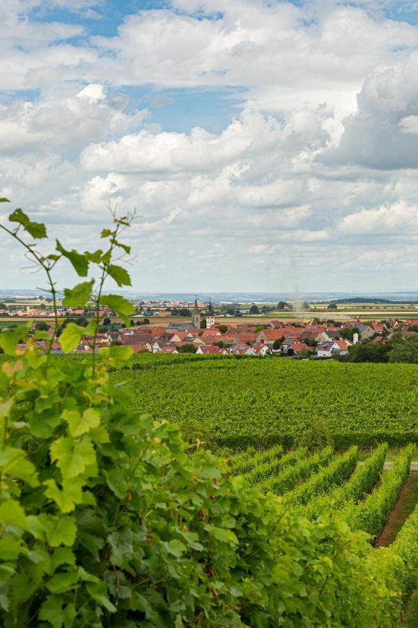 Landgasthof May Willanzheim Exteriör bild