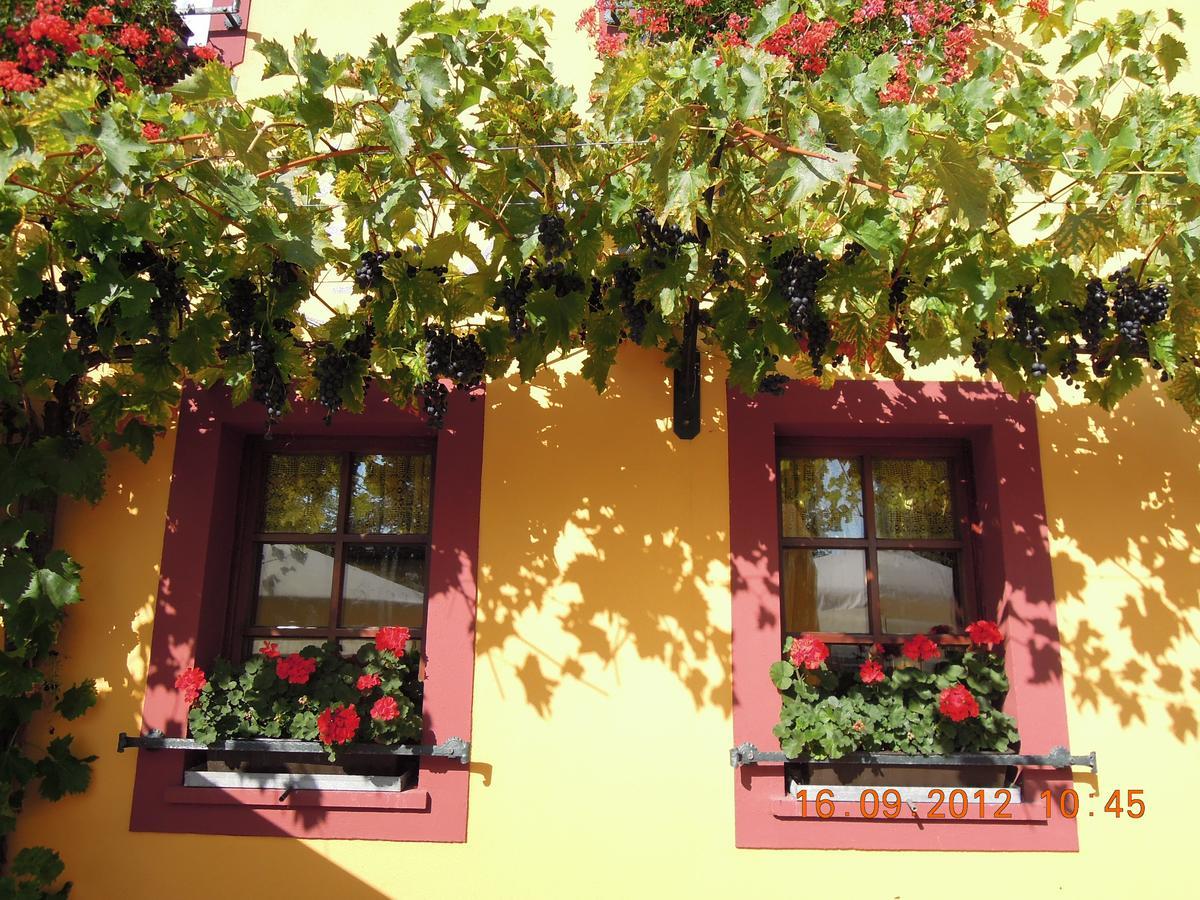 Landgasthof May Willanzheim Exteriör bild